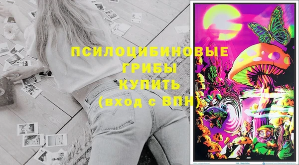 кокс Алзамай