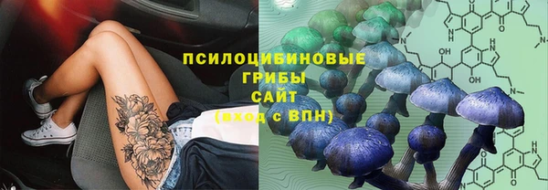 первитин Ветлуга