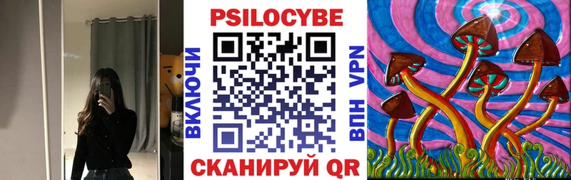 ссылка на мегу онион  Краснознаменск  Галлюциногенные грибы Cubensis 