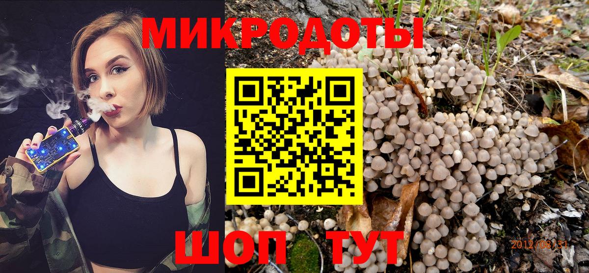 Галлюциногенные грибы Psilocybine cubensis Краснознаменск